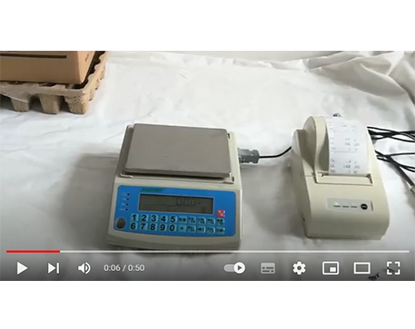 jadever SKY-C Zählwaage Etikettendruck mit NLP-Drucker